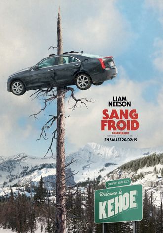 AFFICHE WEB COLD PURSUIT
