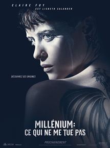affiche web millenium petite
